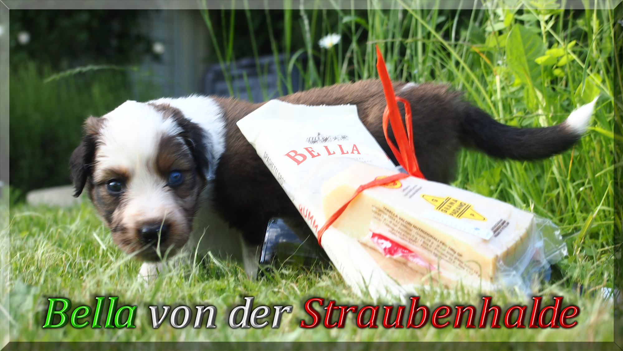 W&auml;ller von der Straubenhalde